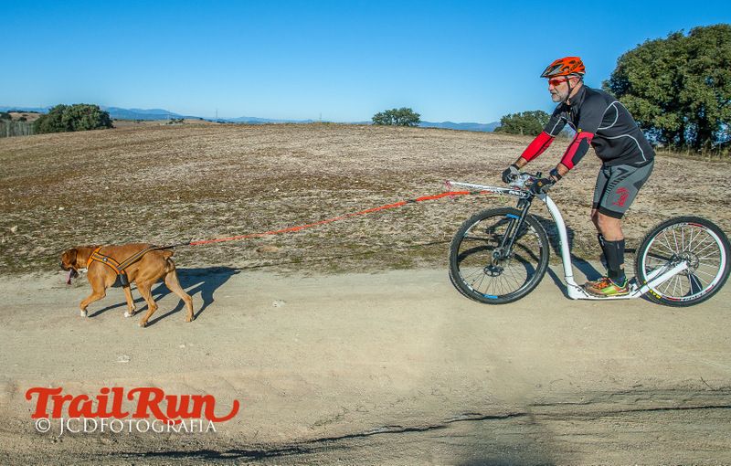 Campeonato de España de Mushing 2017