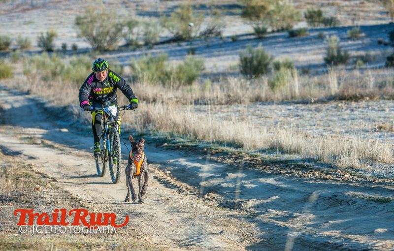 Campeonato de España de Mushing 2017