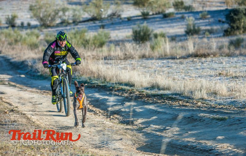 Campeonato de España de Mushing 2017