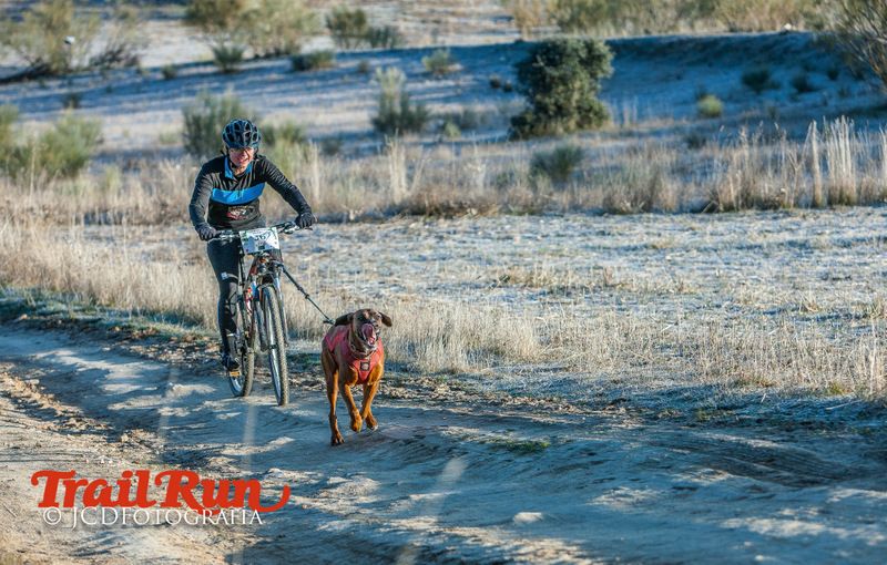 Campeonato de España de Mushing 2017