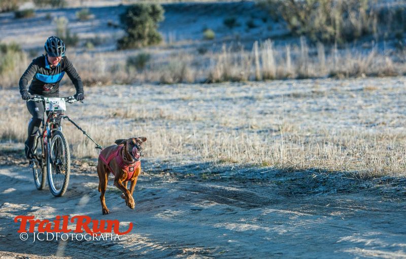 Campeonato de España de Mushing 2017