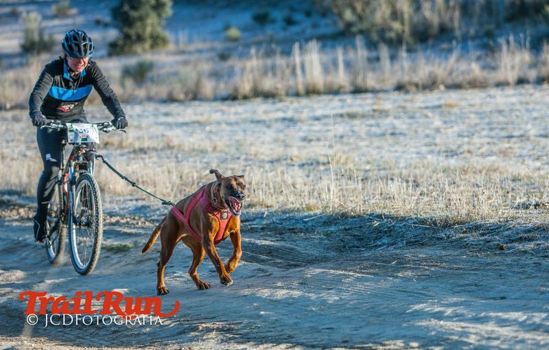 Campeonato de España de Mushing 2017