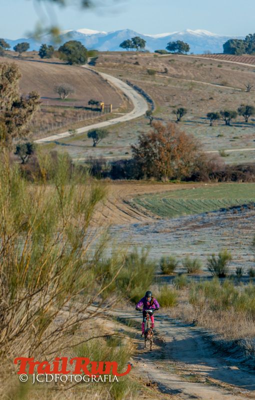 Campeonato de España de Mushing 2017