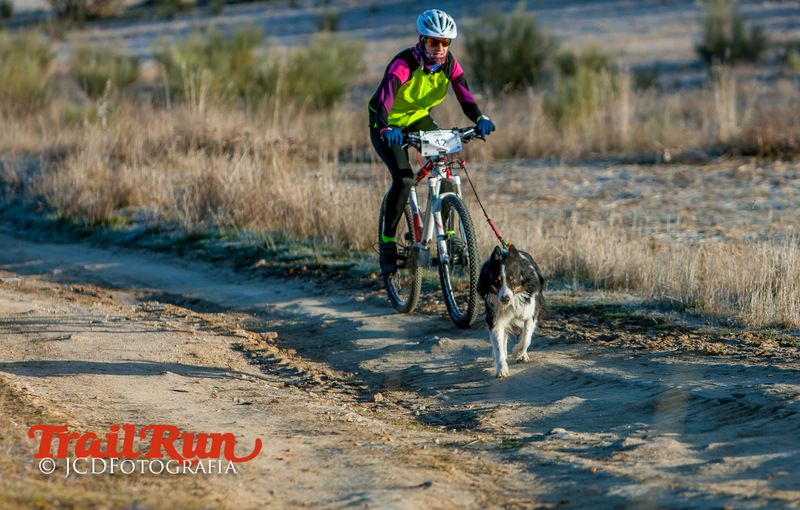 Campeonato de España de Mushing 2017