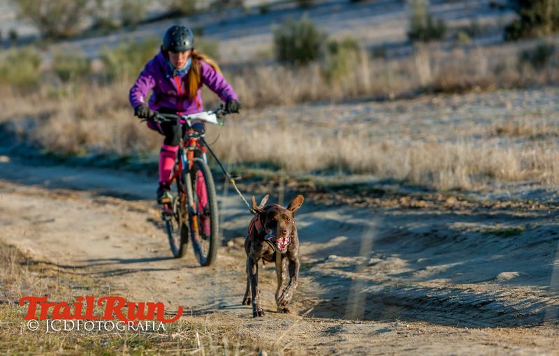 Campeonato de España de Mushing 2017