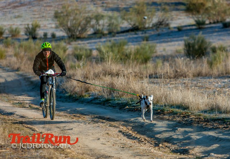 Campeonato de España de Mushing 2017
