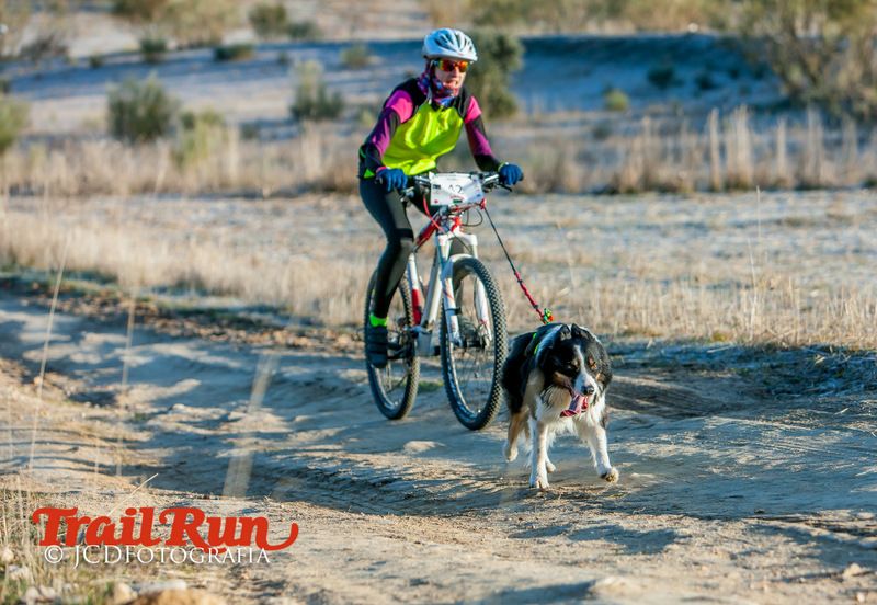 Campeonato de España de Mushing 2017