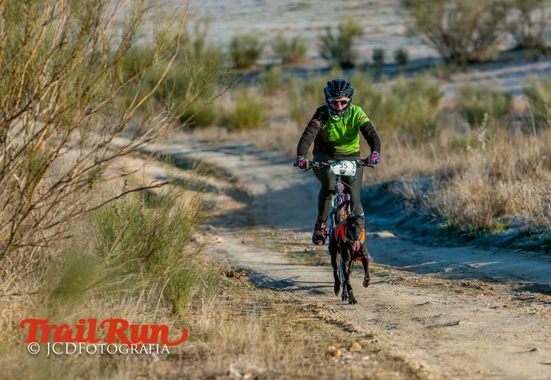 Campeonato de España de Mushing 2017