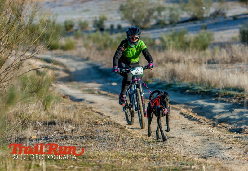 Campeonato de España de Mushing 2017