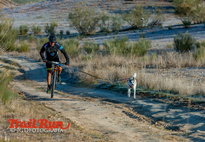 Campeonato de España de Mushing 2017
