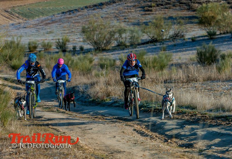 Campeonato de España de Mushing 2017