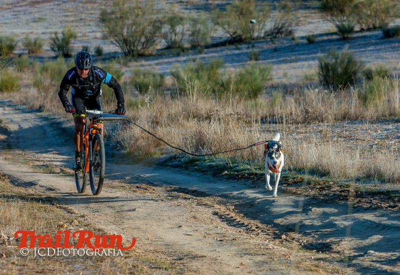 Campeonato de España de Mushing 2017
