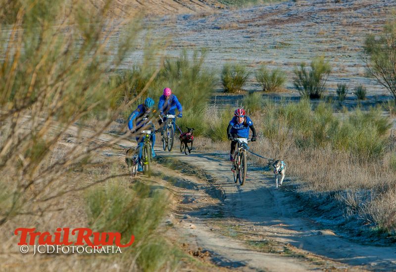 Campeonato de España de Mushing 2017