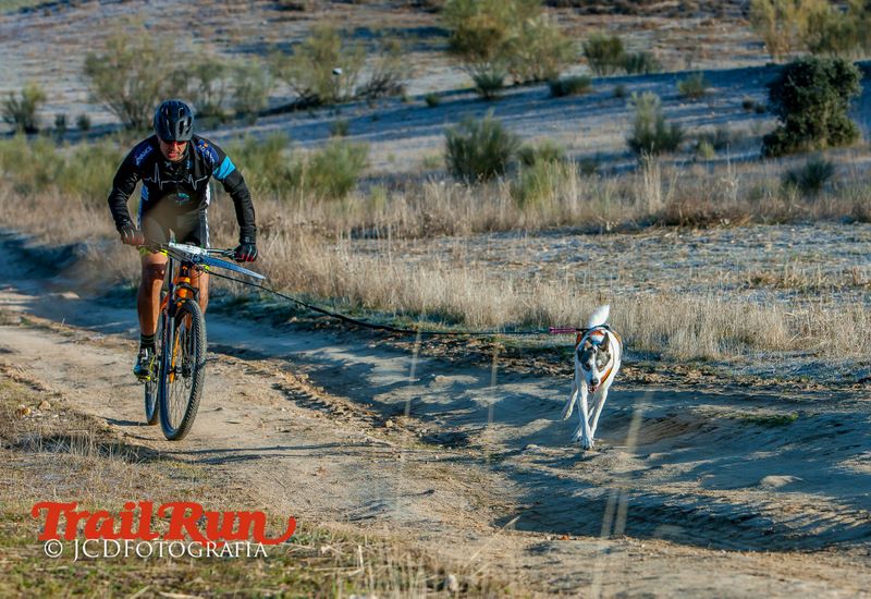 Campeonato de España de Mushing 2017
