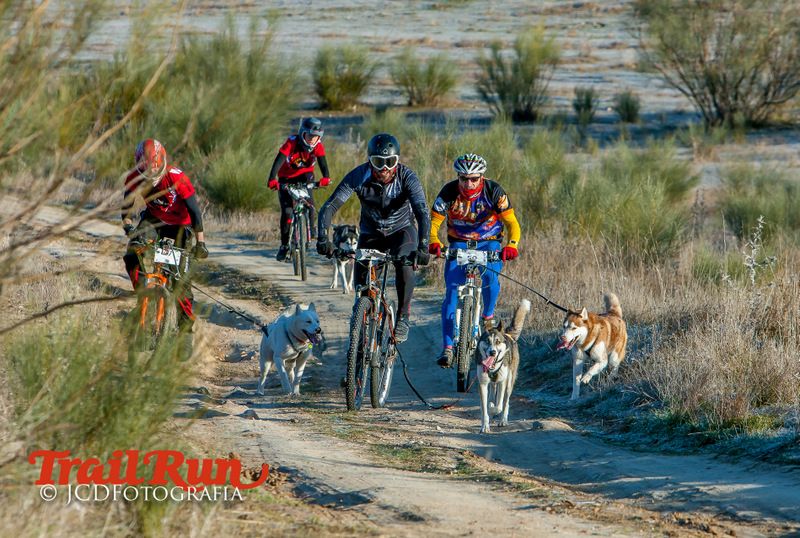 Campeonato de España de Mushing 2017