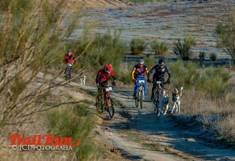 Campeonato de España de Mushing 2017