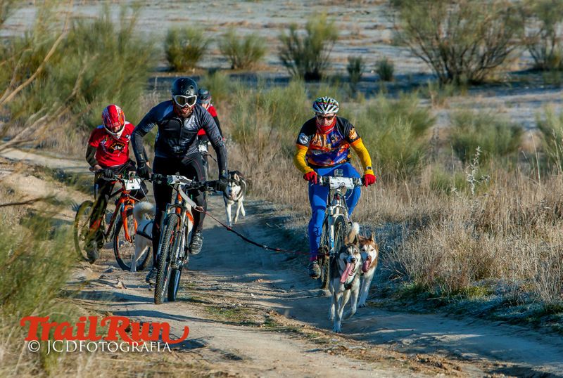Campeonato de España de Mushing 2017