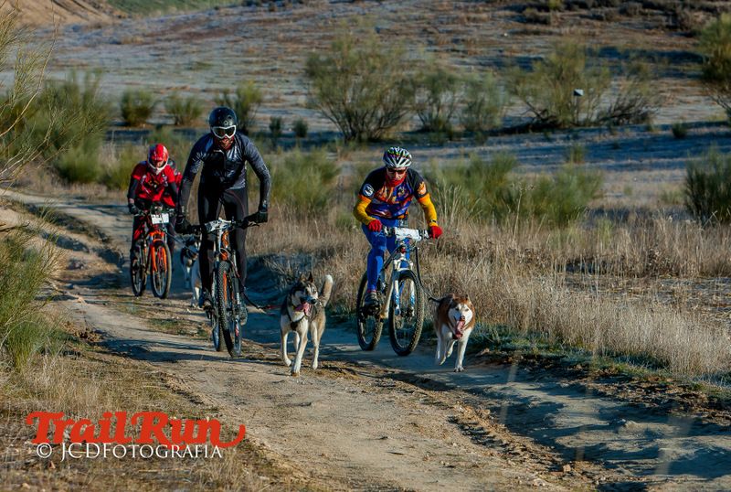 Campeonato de España de Mushing 2017