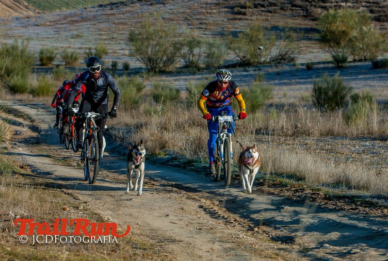 Campeonato de España de Mushing 2017