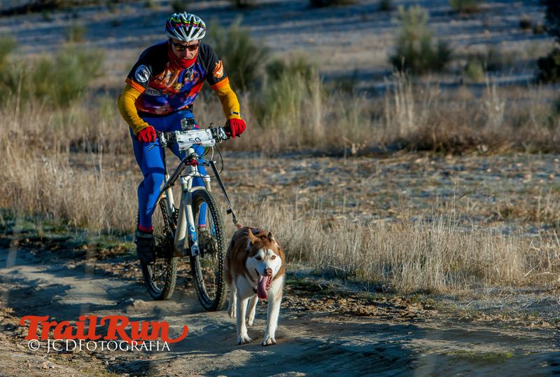 Campeonato de España de Mushing 2017