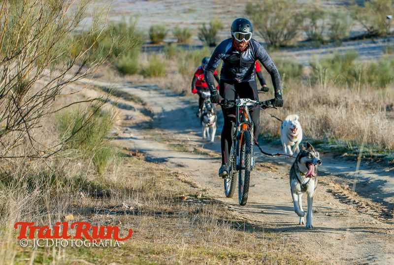 Campeonato de España de Mushing 2017