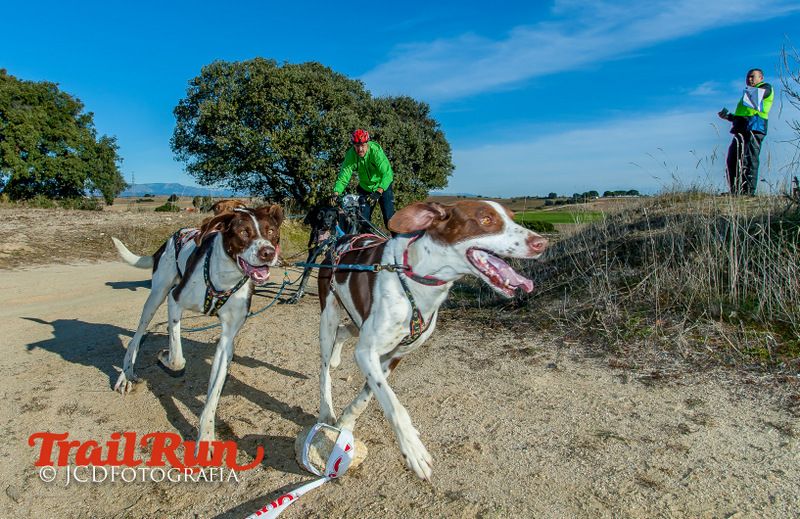 Campeonato de España de Mushing 2017