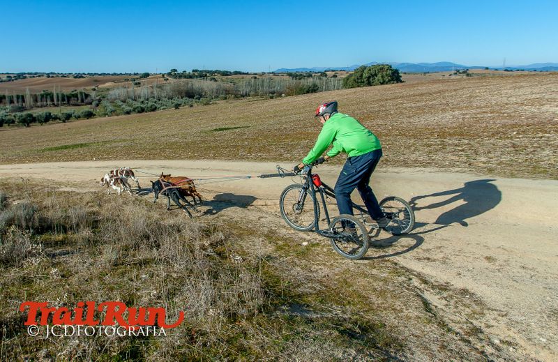 Campeonato de España de Mushing 2017