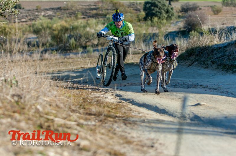 Campeonato de España de Mushing 2017