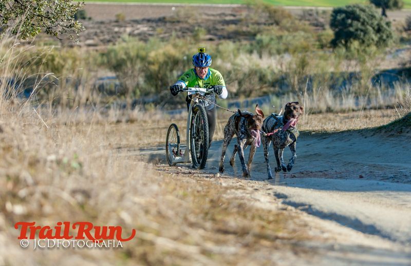 Campeonato de España de Mushing 2017