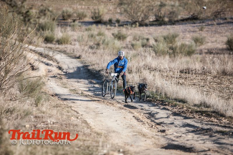 Campeonato de España de Mushing 2017