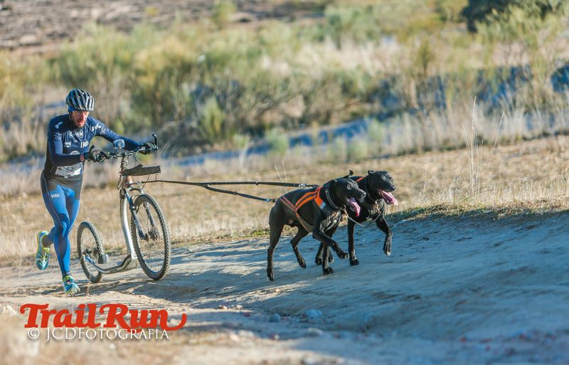 Campeonato de España de Mushing 2017