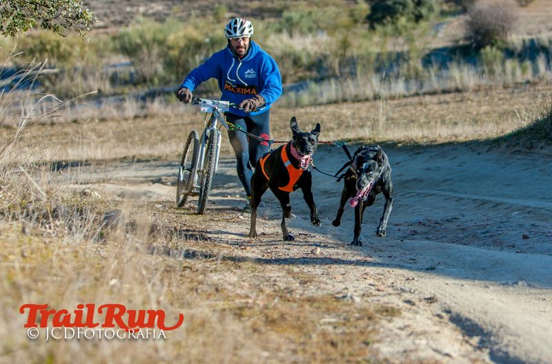 Campeonato de España de Mushing 2017