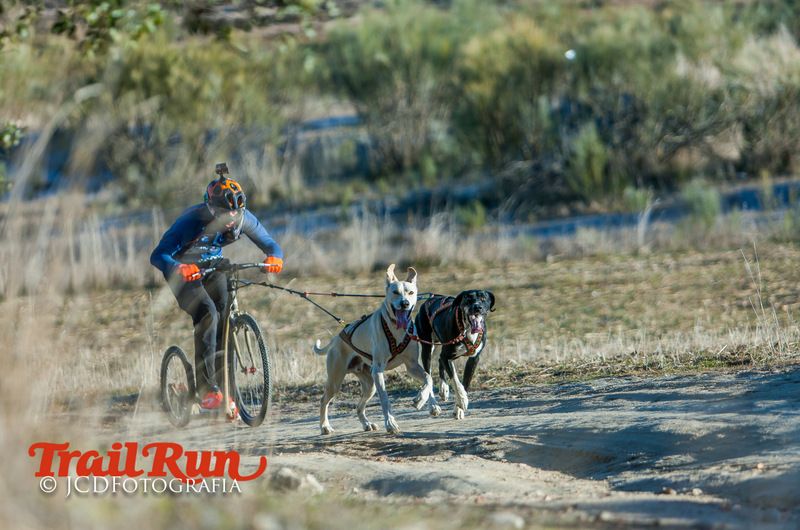 Campeonato de España de Mushing 2017