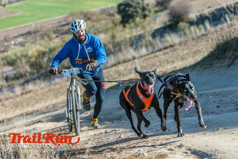 Campeonato de España de Mushing 2017