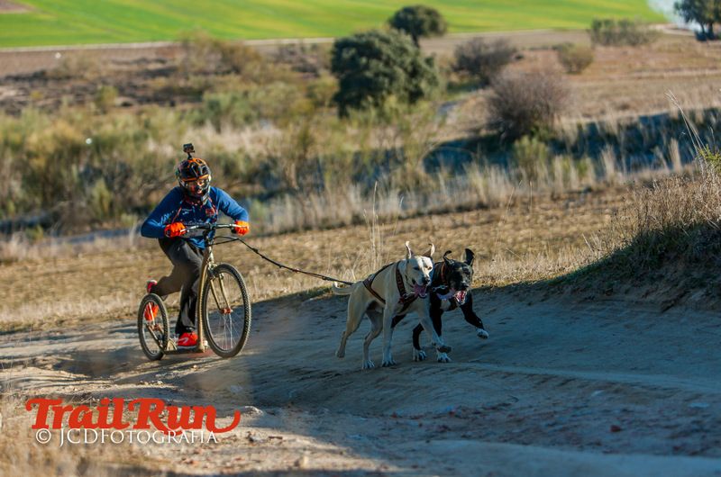 Campeonato de España de Mushing 2017