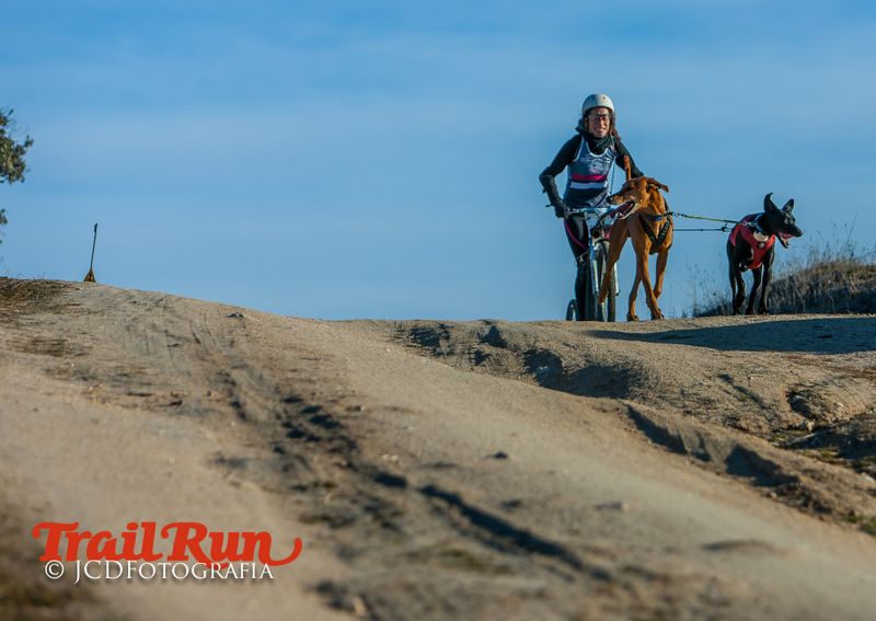 Campeonato de España de Mushing 2017