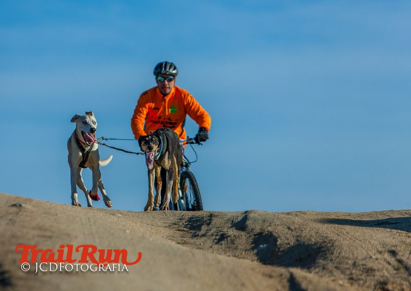 Campeonato de España de Mushing 2017