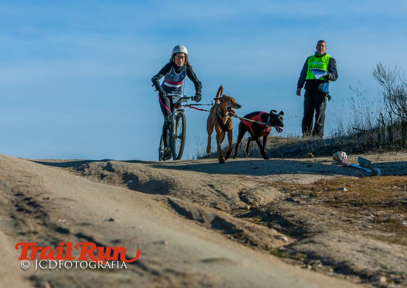 Campeonato de España de Mushing 2017