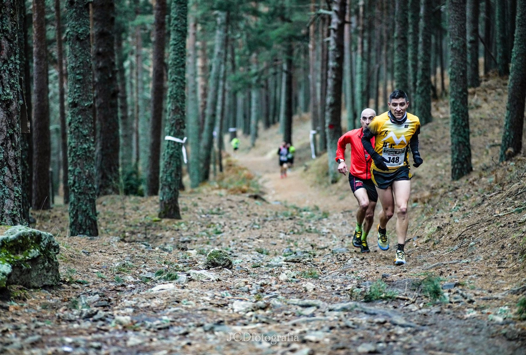 Carrera de Navidad de Cercedilla ©TRAIL RUN. JCD Fotografía