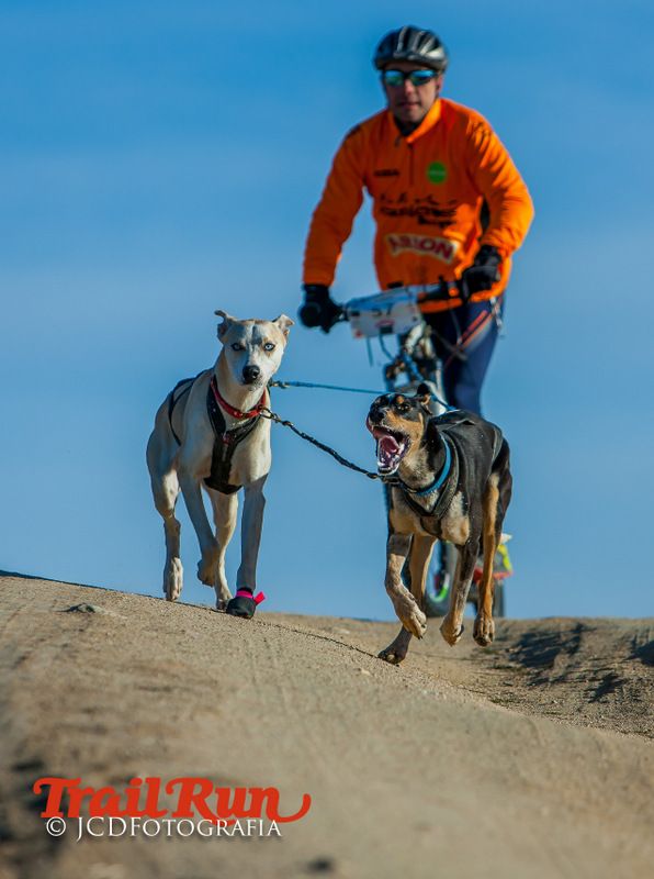 Campeonato de España de Mushing 2017