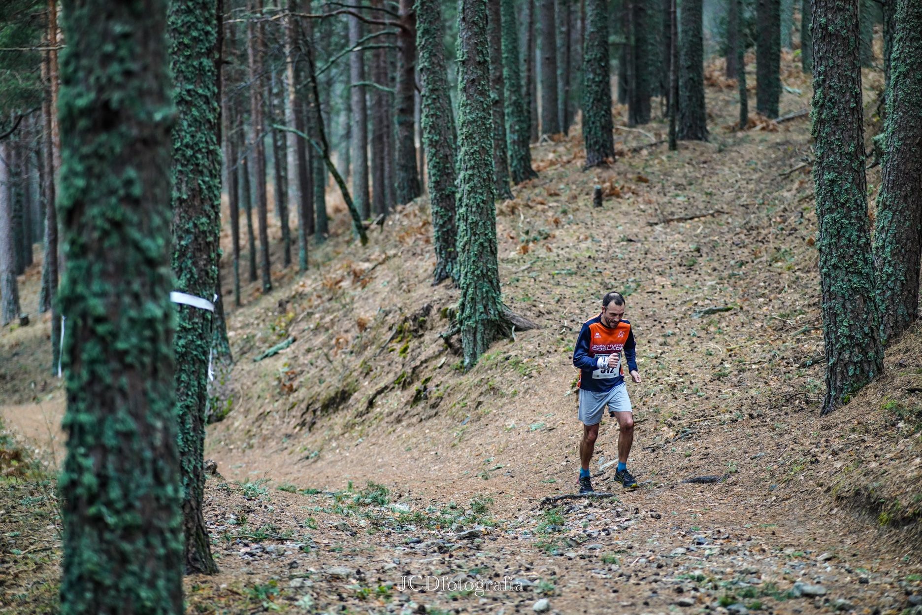 Carrera de Navidad de Cercedilla ©TRAIL RUN. JCD Fotografía