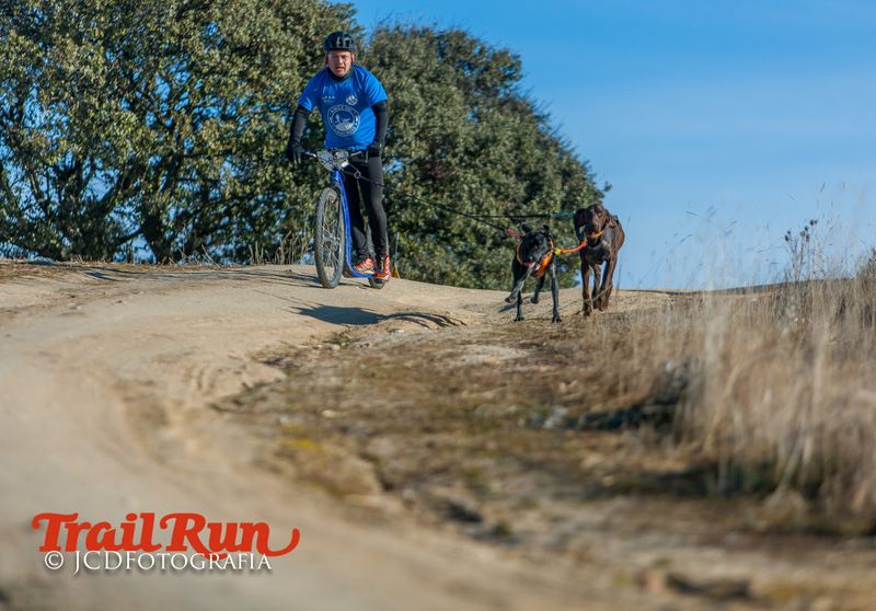 Campeonato de España de Mushing 2017