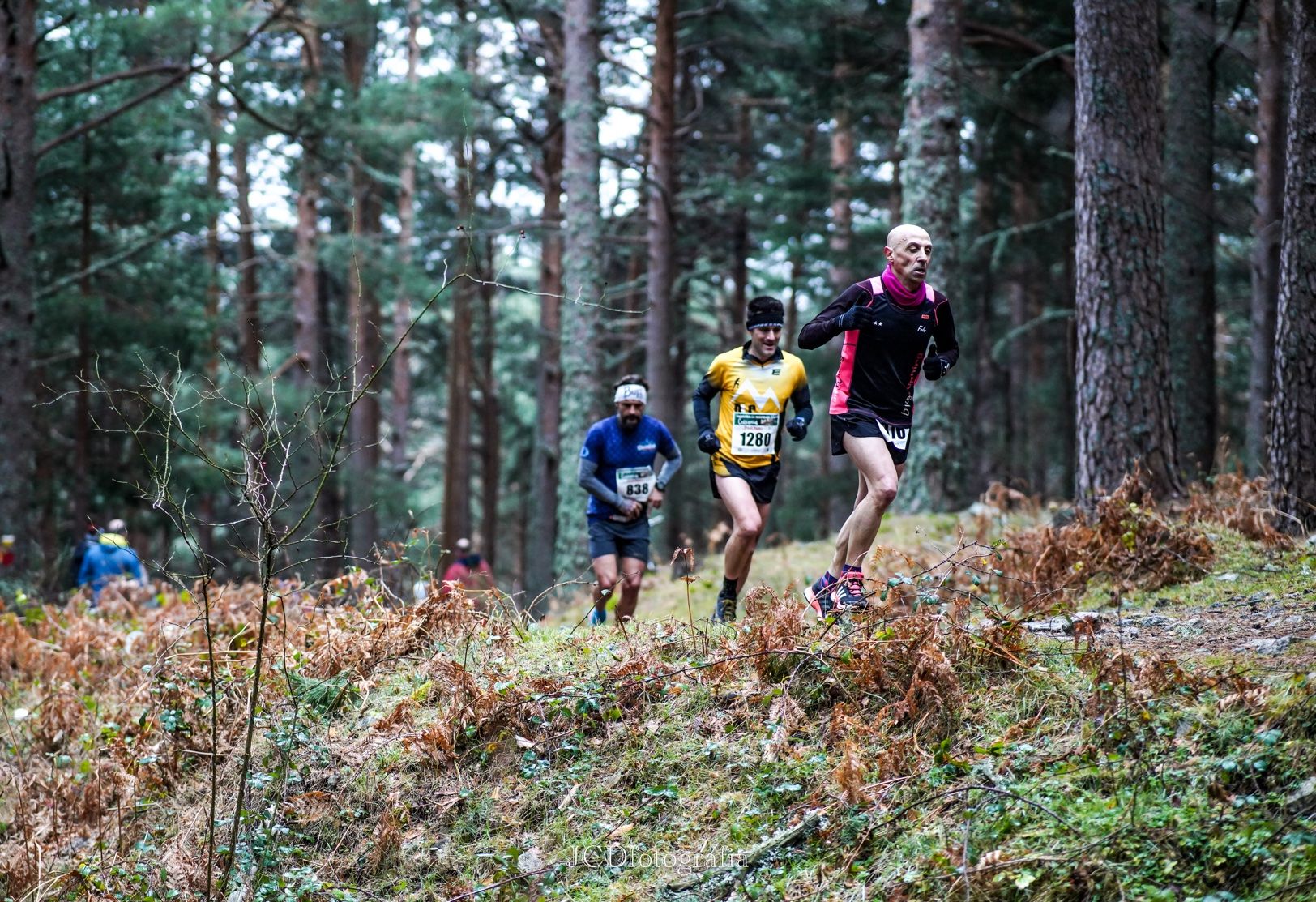 Carrera de Navidad de Cercedilla ©TRAIL RUN. JCD Fotografía
