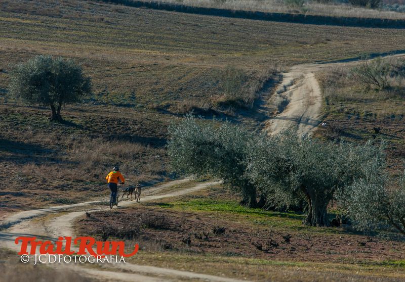 Campeonato de España de Mushing 2017