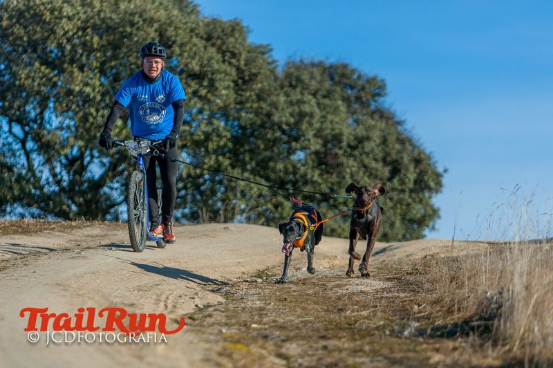 Campeonato de España de Mushing 2017