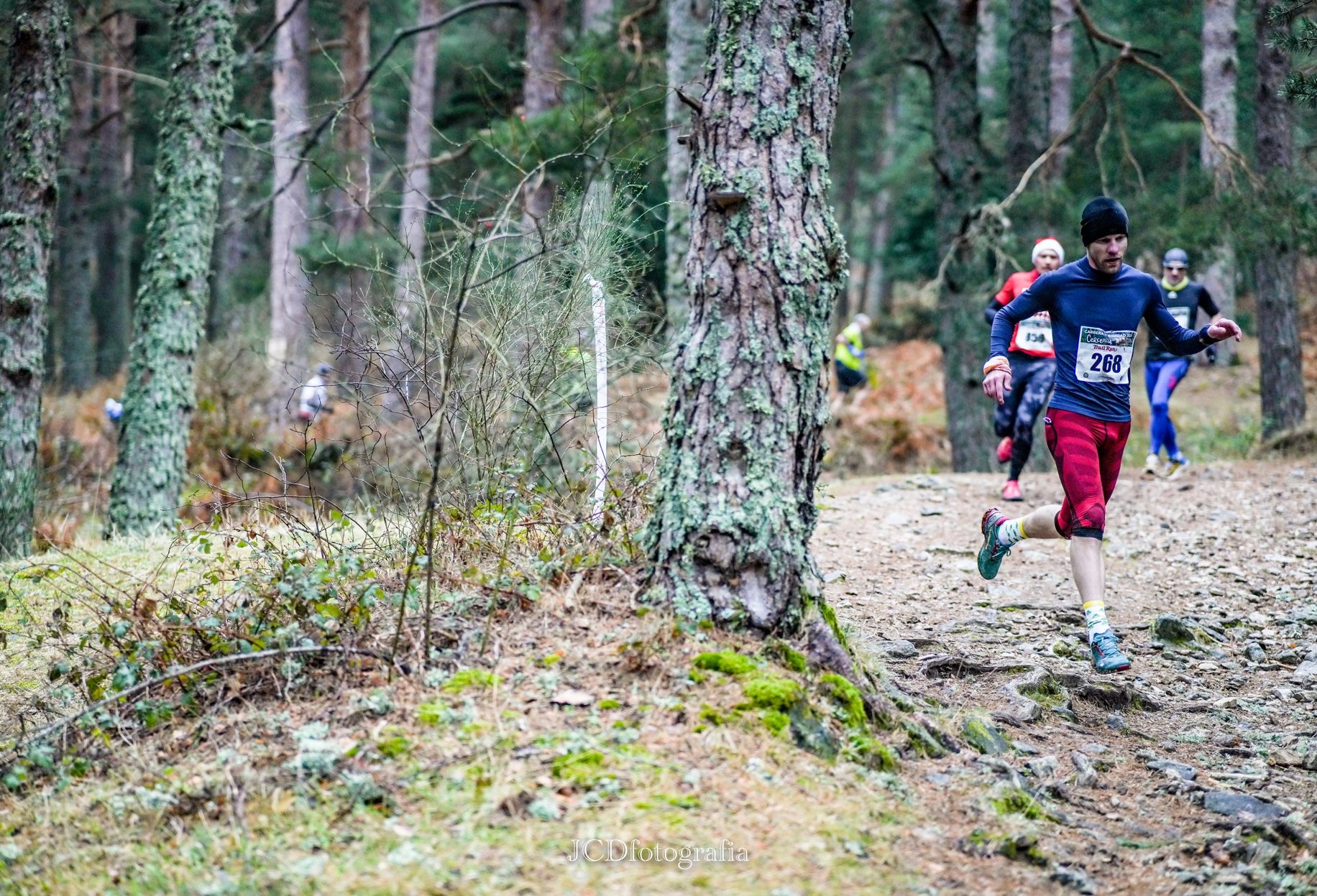 Carrera de Navidad de Cercedilla ©TRAIL RUN. JCD Fotografía