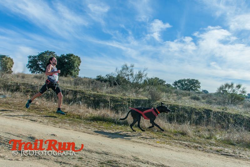 Campeonato de España de Mushing 2017