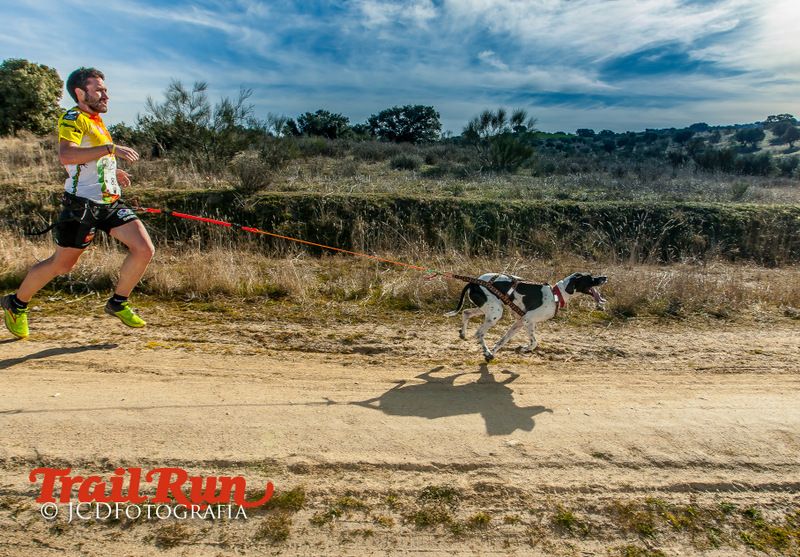 Campeonato de España de Mushing 2017
