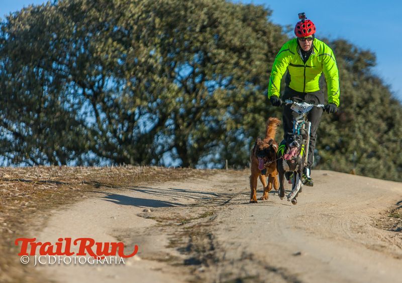 Campeonato de España de Mushing 2017