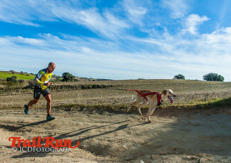 Campeonato de España de Mushing 2017